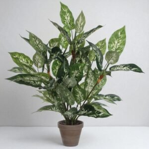 Artificial Dieffenbachia in Terracotta Pot – 70x55 cm