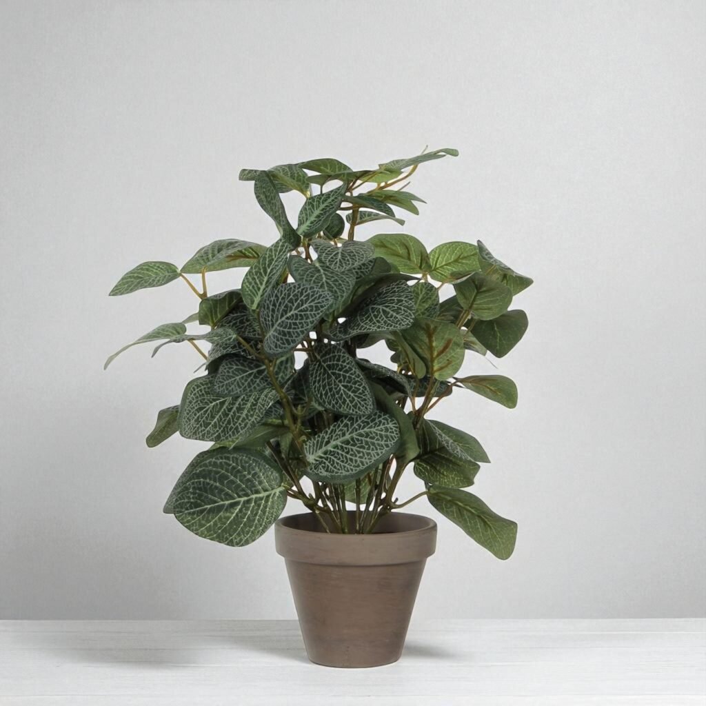 Artificial Pilea in Terracotta Pot – 35x25 cm