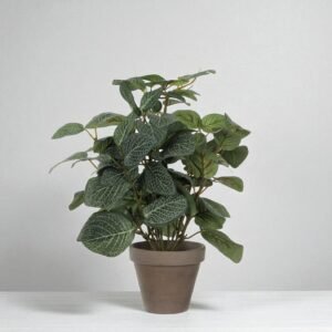 Artificial Pilea in Terracotta Pot – 35x25 cm