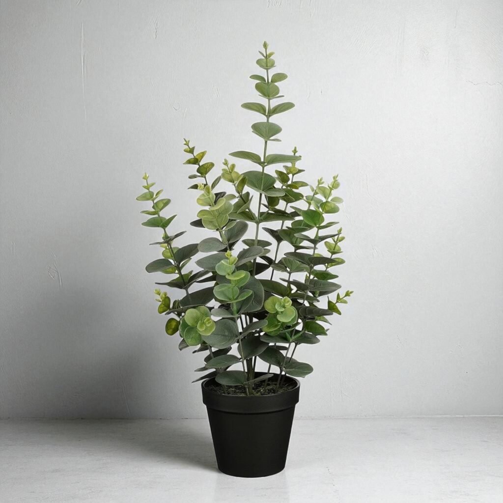Artificial Eucalyptus in Black Pot – 53x23 cm