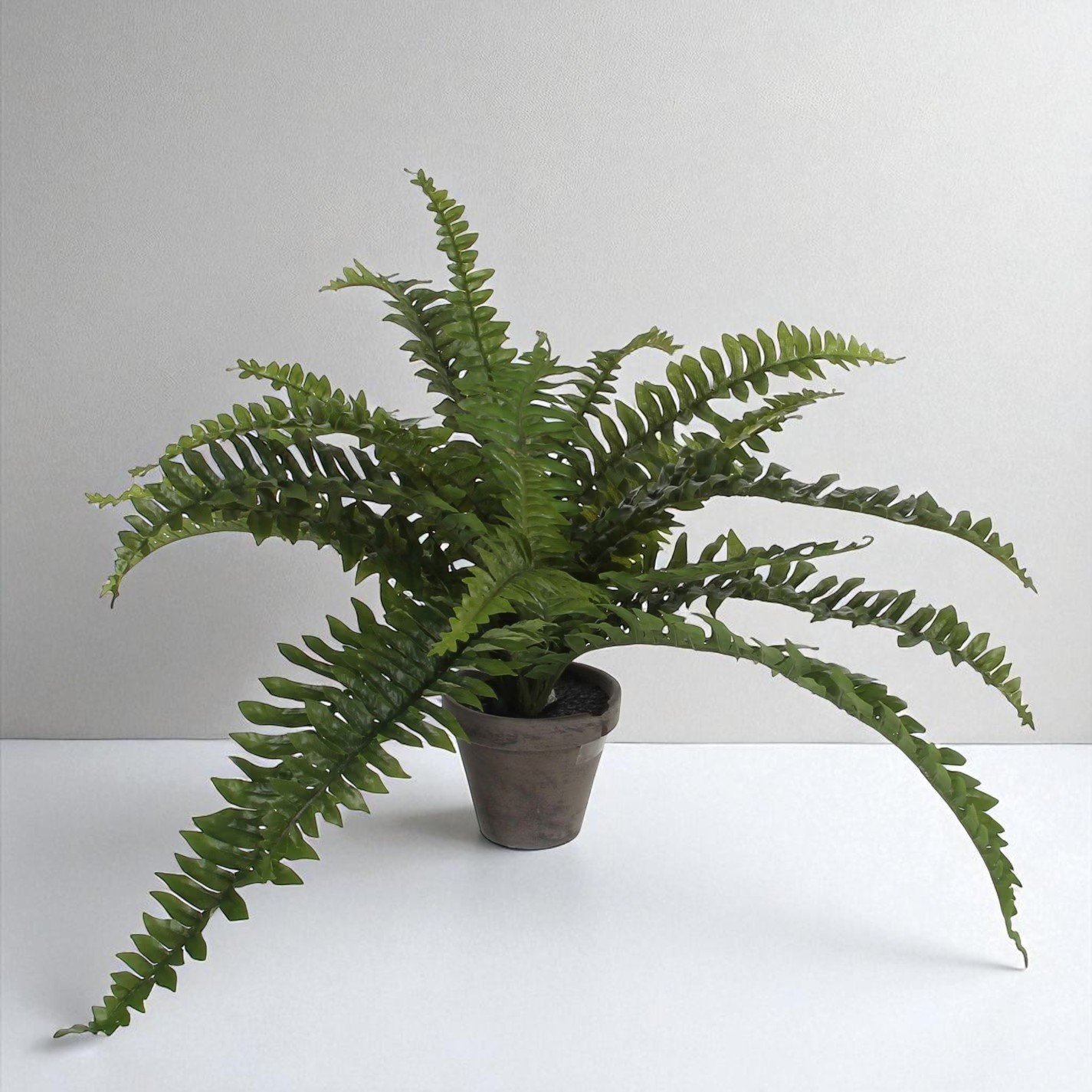 Artificial Boston Fern in Terracotta Pot – 35x40 cm