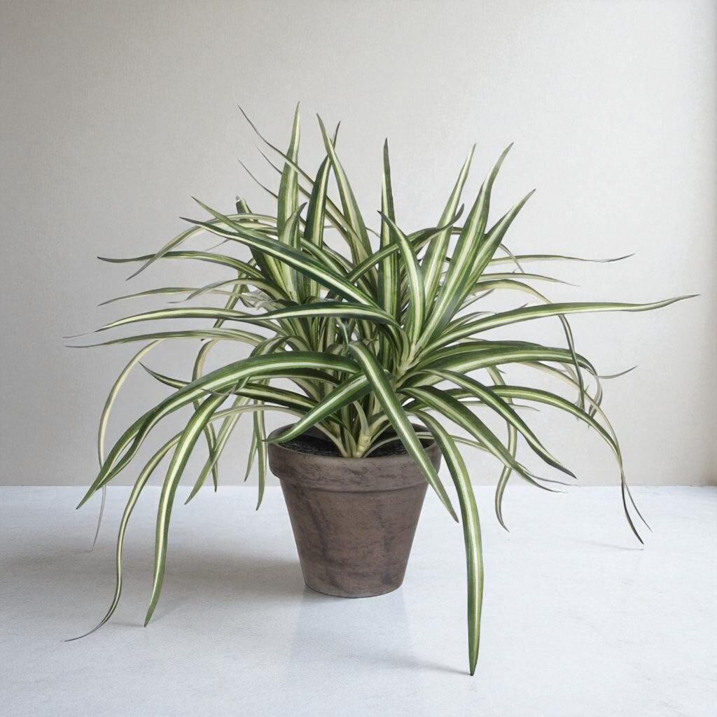 Artificial Dracaena in Terracotta Pot – 34x40 cm