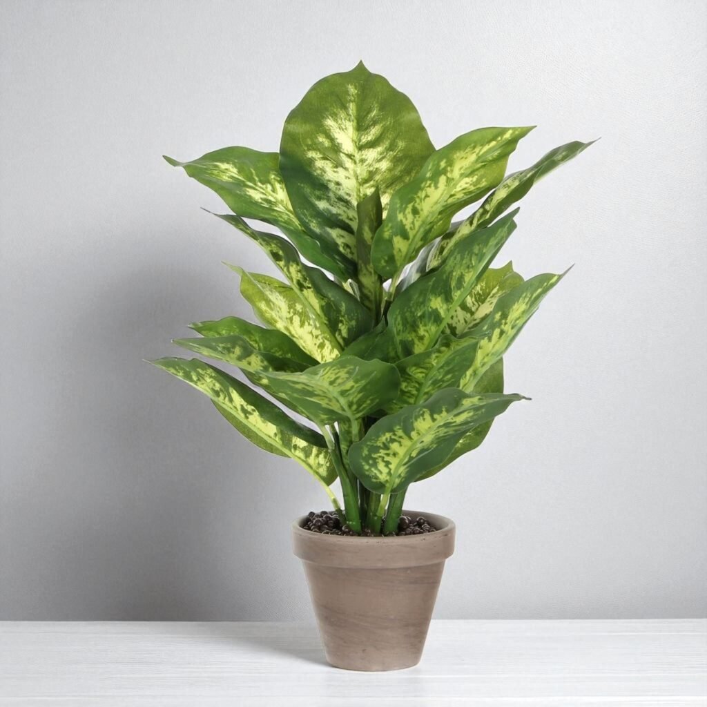 Artificial Dieffenbachia in Terracotta Pot – 40x30 cm