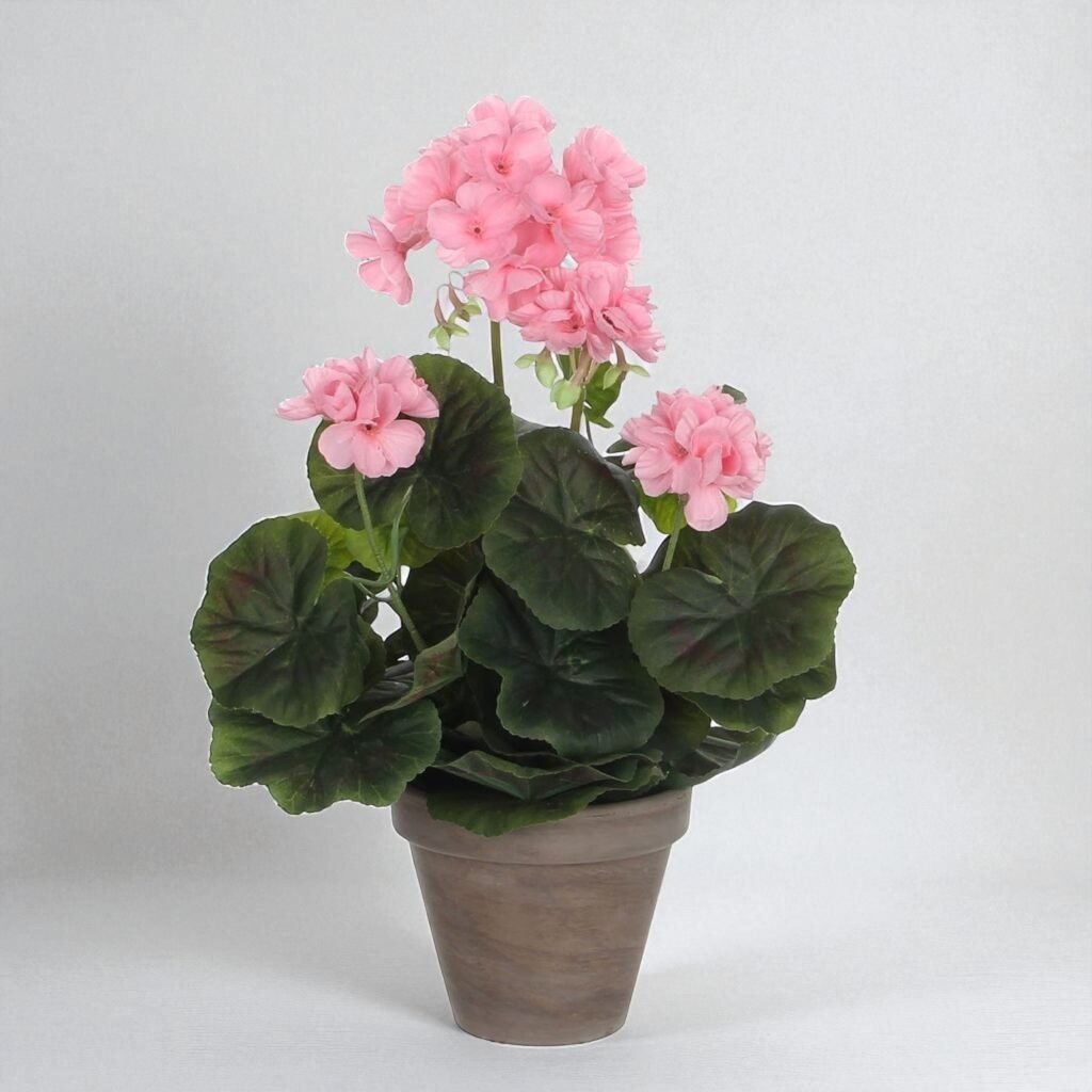 Artificial Geranium in Terracotta Pot – 34x20cm