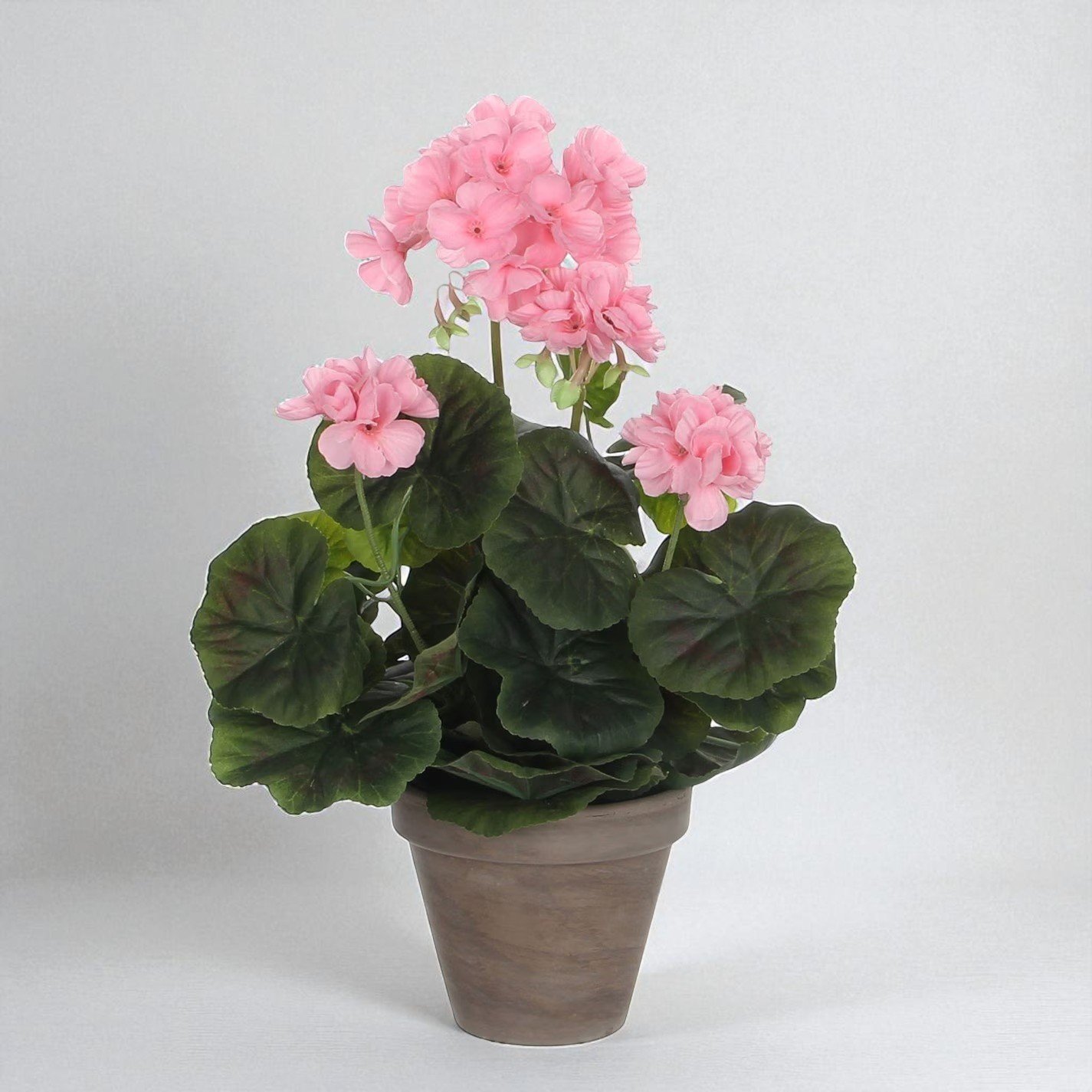 Artificial Geranium in Terracotta Pot – 34x20cm