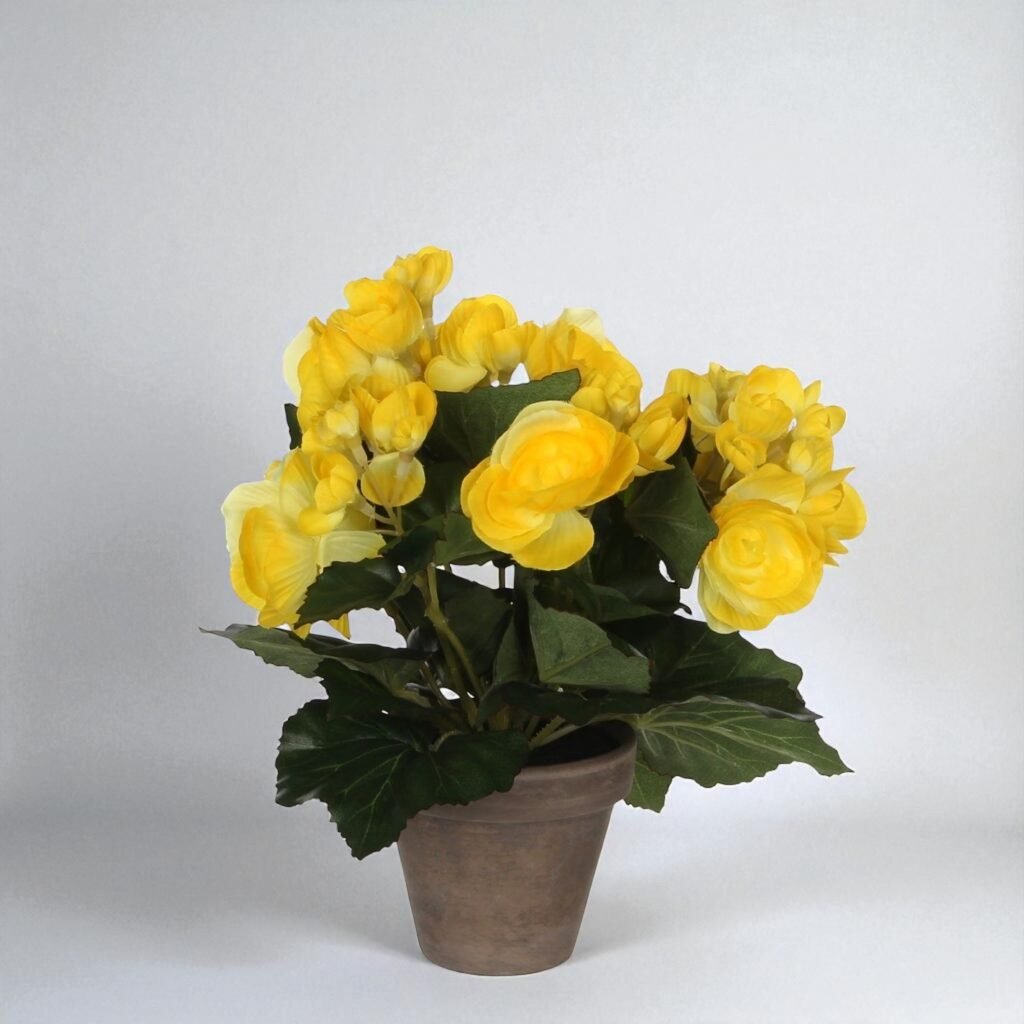 Artificial Begonia in Terracotta Pot – 25x20 cm