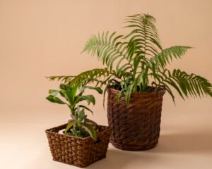 Artificial Potted Plants